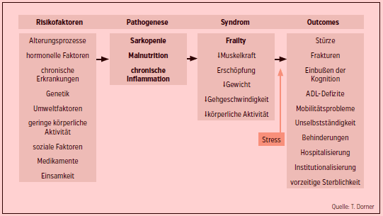 Frailty und Sarkopenie